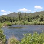 IMG_7689 (May 28, 2024)